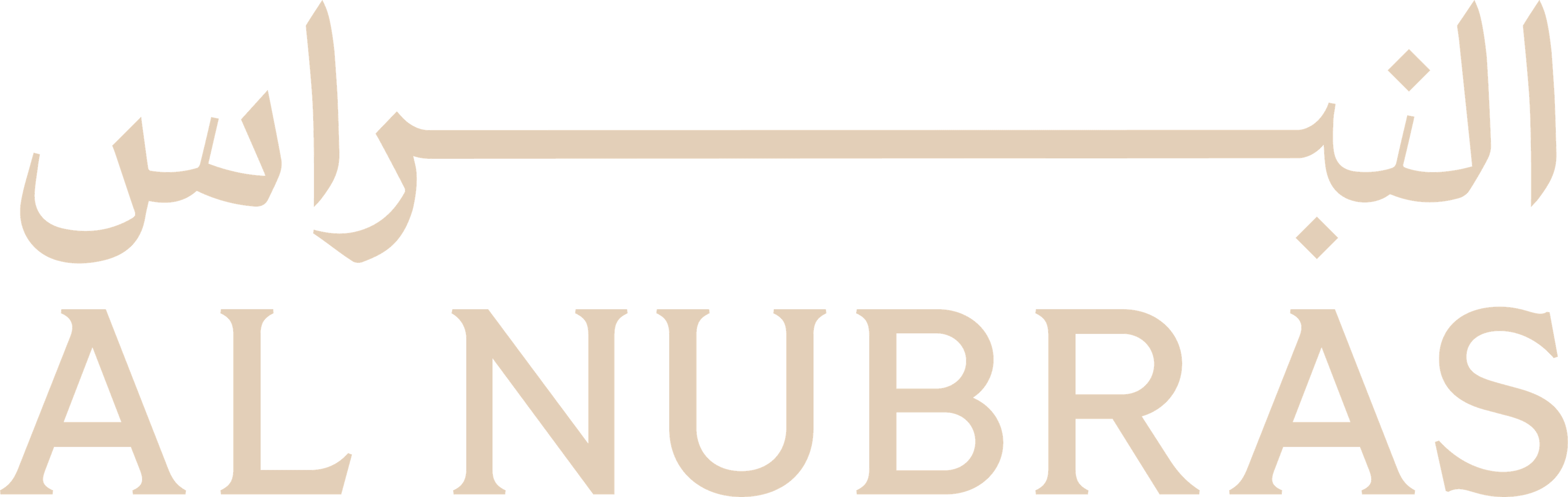 Nubras Logo